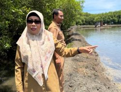 Progres Stadion Untia: 13,8 Hektar Lahan Bersertifikat, Pembangunan Kian Nyata